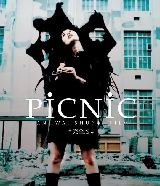 梦旅人 PicNic (1996)