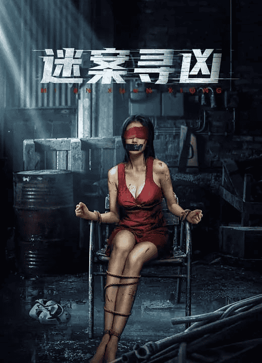 迷案寻凶(2024)4K EDR 高码率