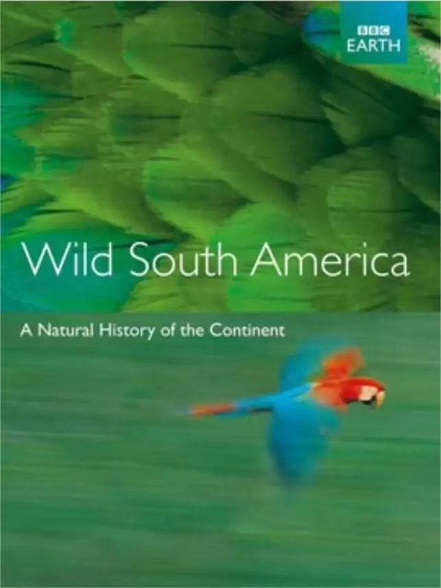 野性南美洲 (2000) 480P 国英双音轨 中字外挂字幕