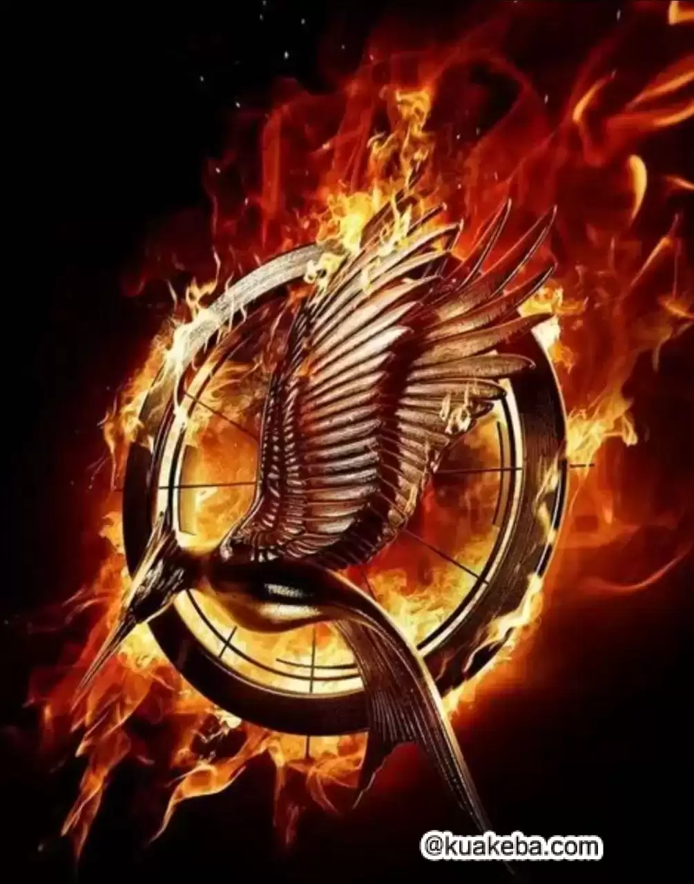 饥饿游戏2:星火燎原 (2013) 4K HDR BluRay 国英双音轨 中英外挂字幕