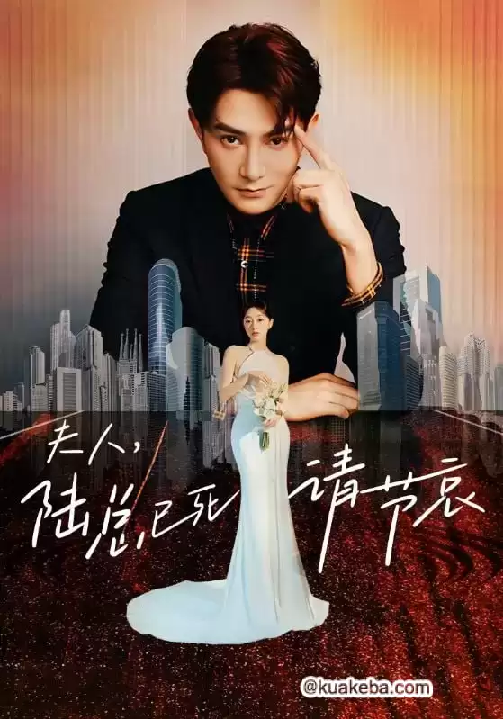 夫人,陆总已死请节哀 (短剧)