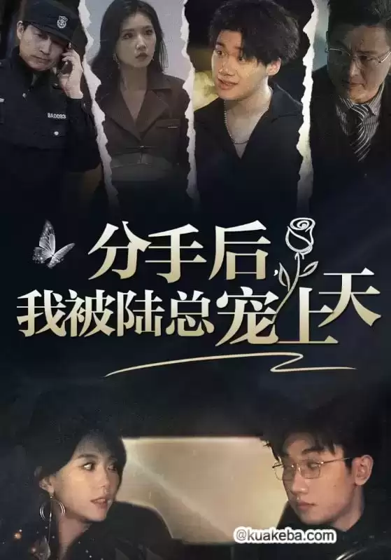 分手后,我被陆总宠上天 (短剧)