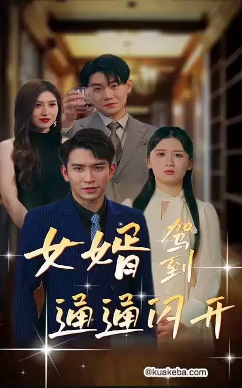 女婿驾到,通通闪开 (短剧)