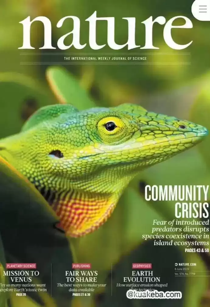 Nature 自然杂志 PDF电子版