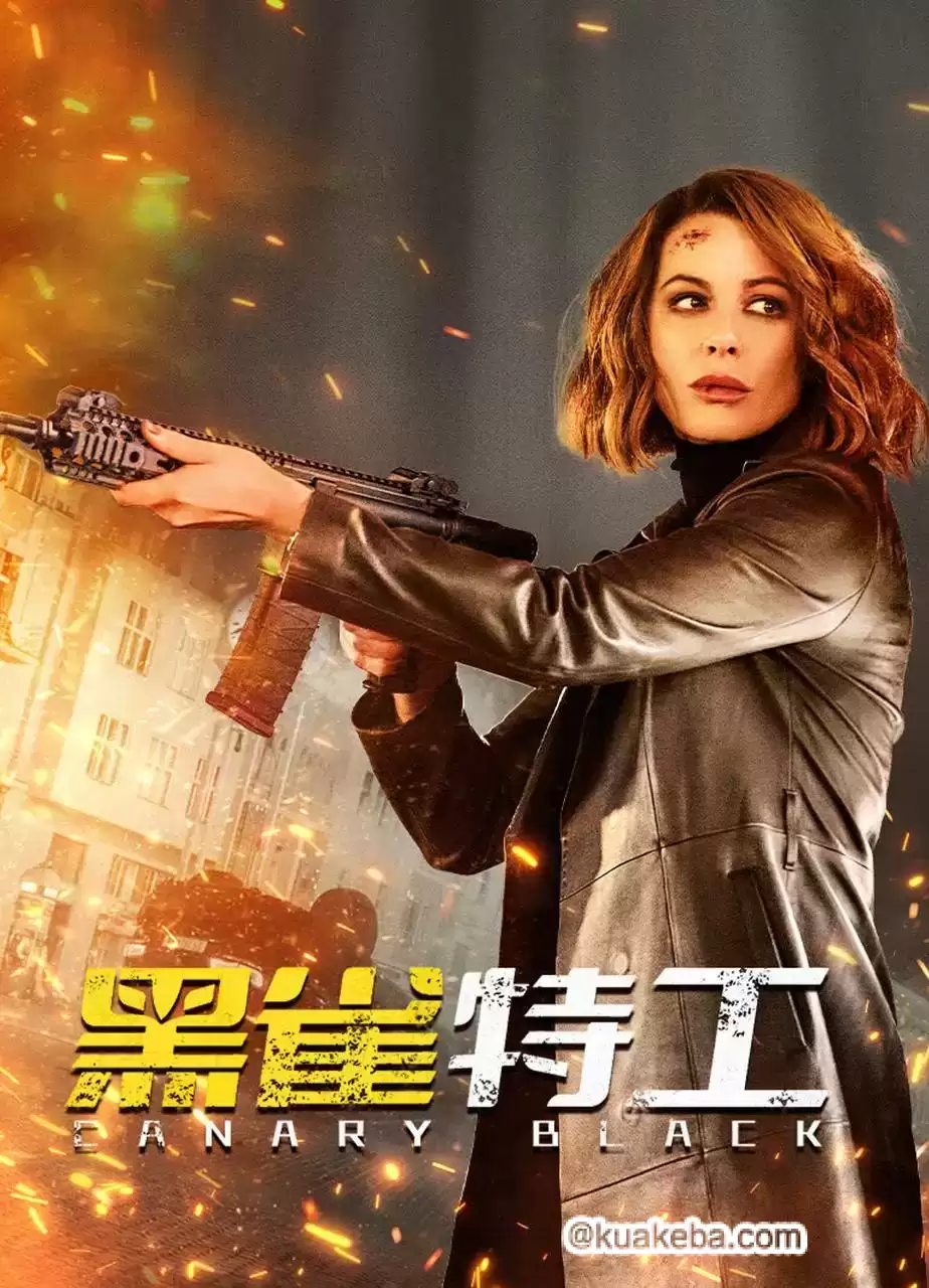 黑雀特工(2024)4K EDR 高码率 国英双语 内嵌简英