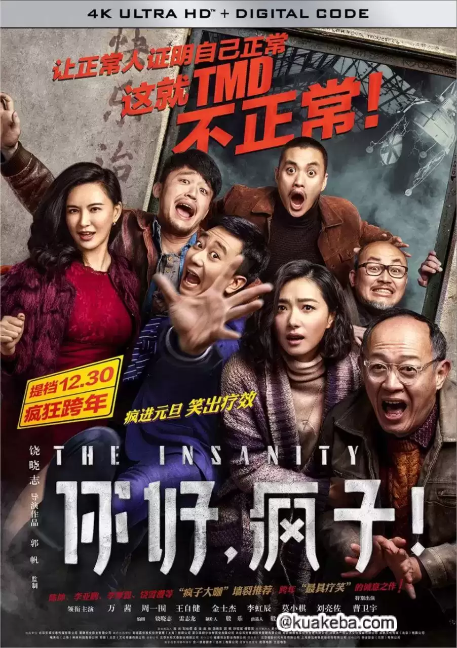 你好,疯子!(2016) 4K 60帧 高码 国语中字