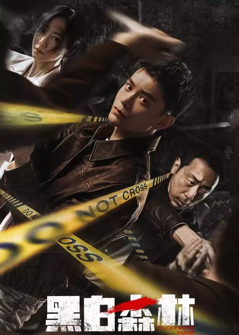 黑白森林(2024)4K 杜比音效