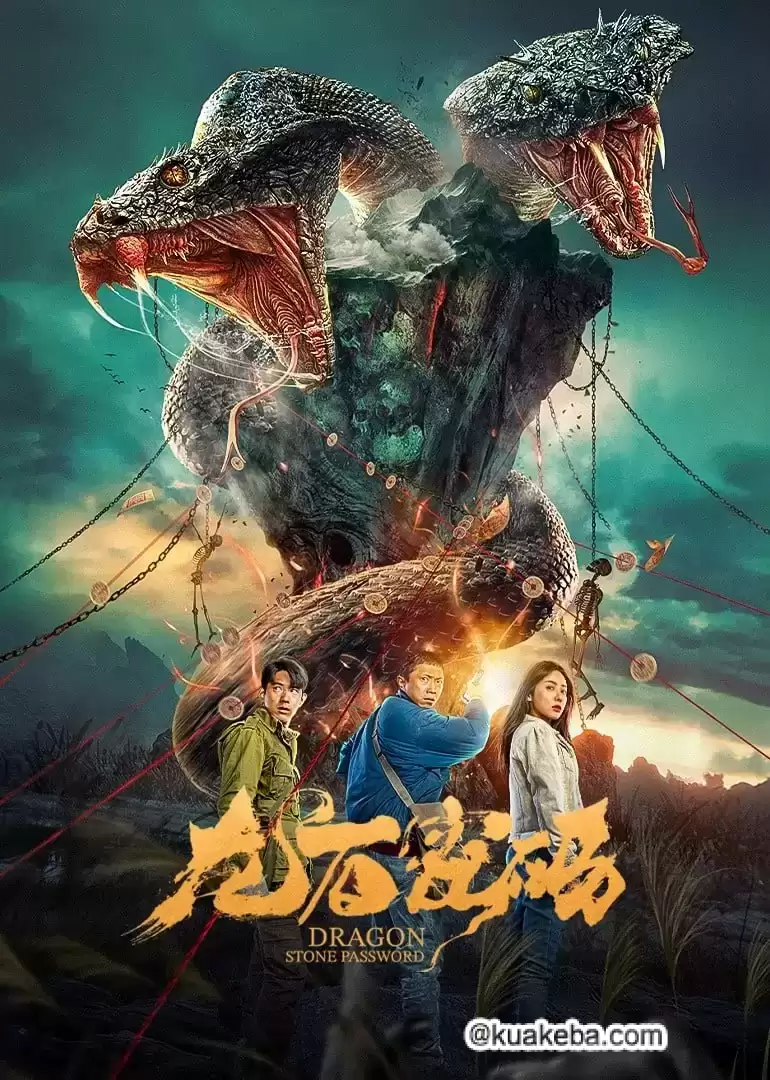 龙石密码 (2024) 4K/1080P 国语中字