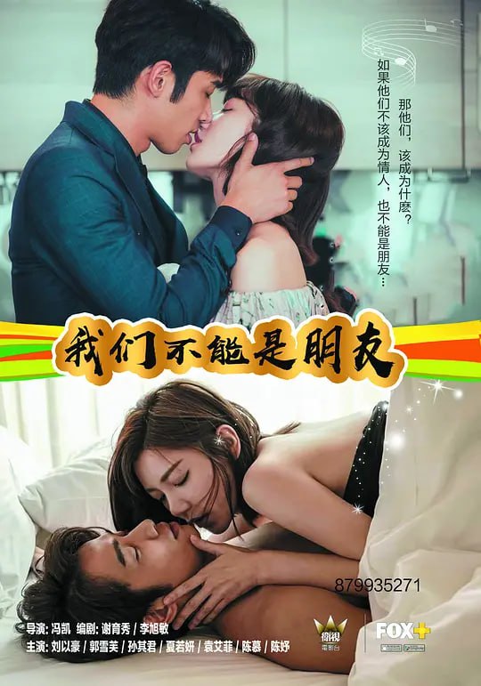 我们不能是朋友 (2019) 13集全