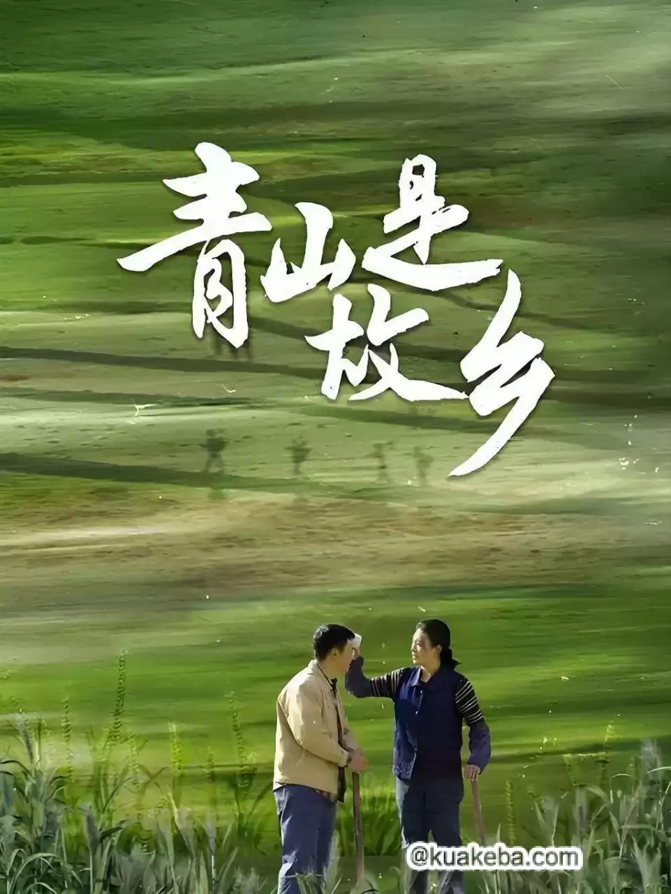 青山是故乡.2025.国语中字.HD1080P