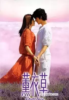 薰衣草 (2001) 国语中字.BD1080P.全15集.经典电视剧[金城武/陈慧琳/陈奕迅]
