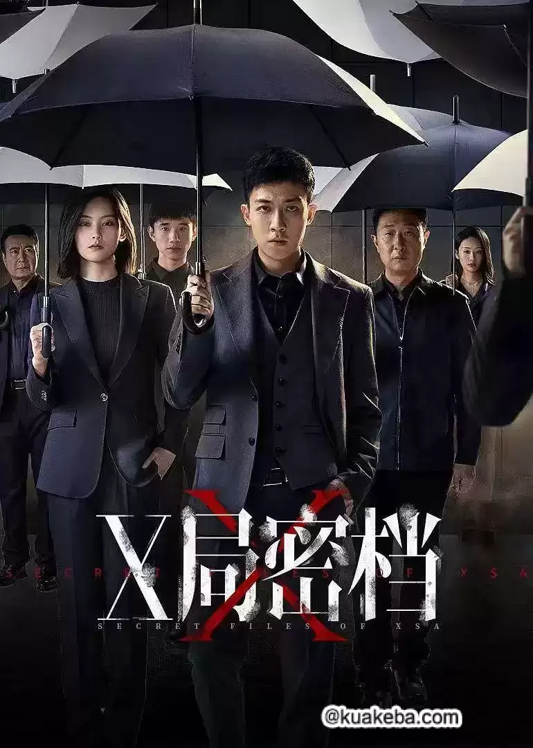 X局密档.2025.4K高码.国语中字[剧情/悬疑/犯罪]