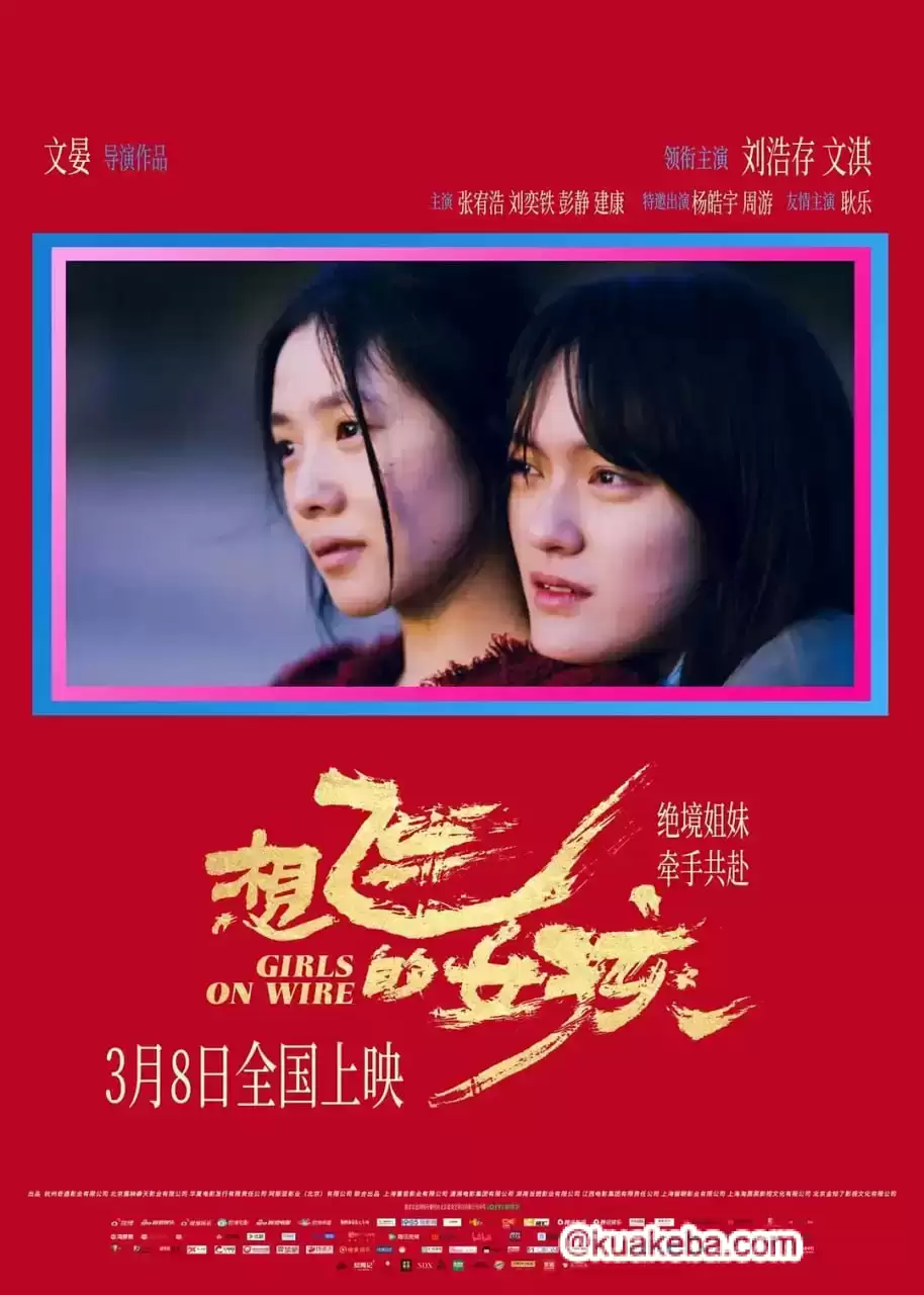 想飞的女孩.2025.国产电影. 刘浩存 / 文淇 / 张宥浩