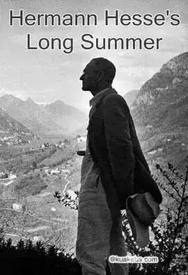 赫尔曼·黑塞的漫长夏日.1997.英语中字.1080P