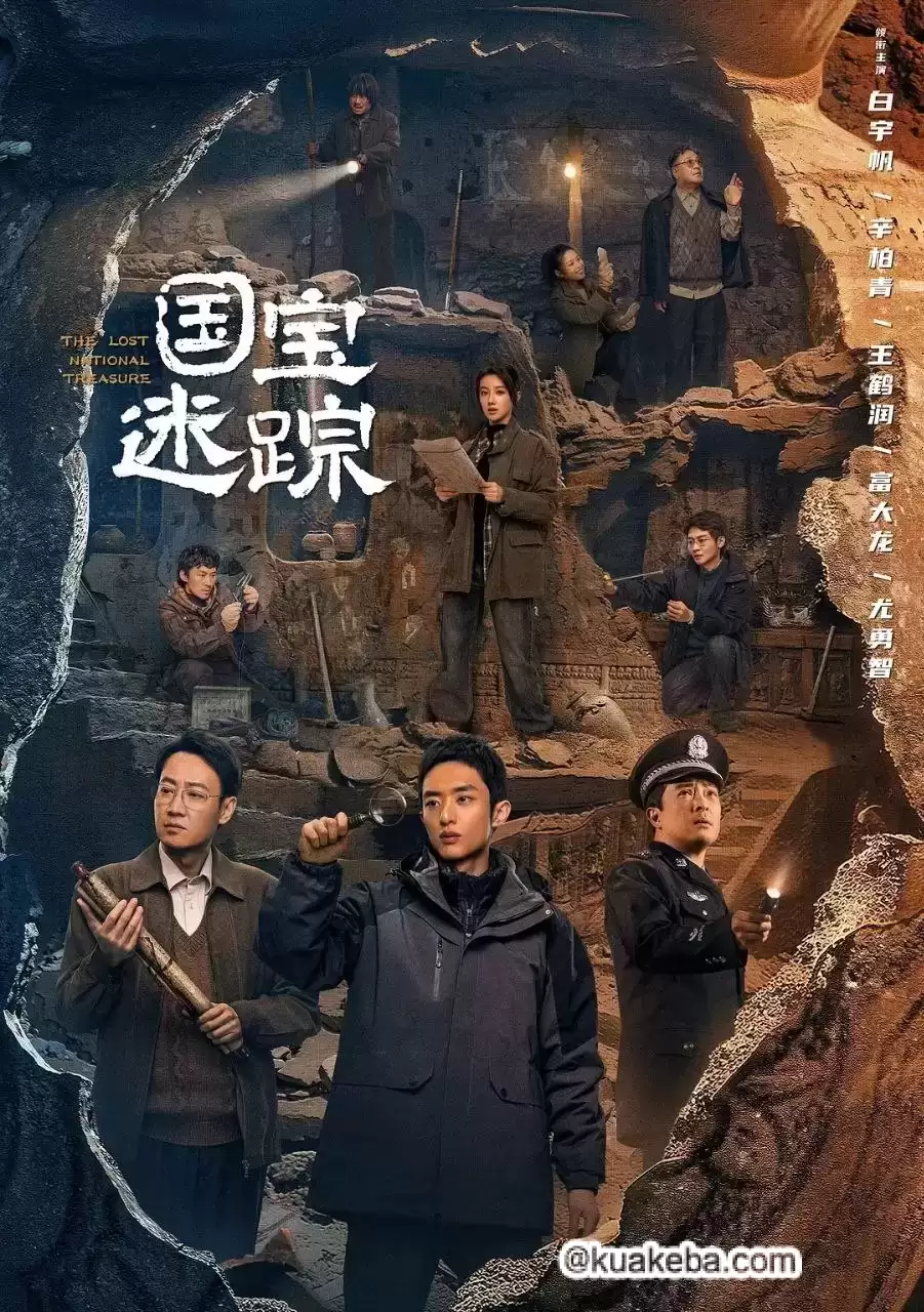 护宝寻踪.2025.国语中字.4K/2160P【白宇帆/辛柏青/富大龙】