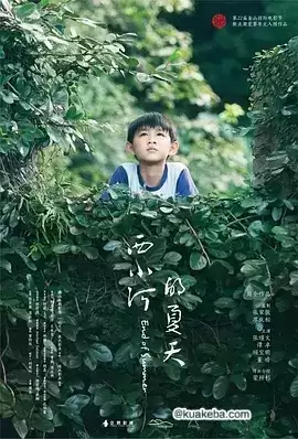 西小河的夏天 (2017) 蓝光1080P.国语中字